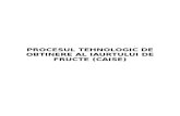 Iaurt Cu Caise-Proces Tehnologic