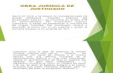 Obra Juridica de Justiniano Amelia