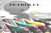 Proiect La Chimie Petrol