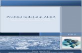 Exqbk_Profil Judetul Alba_actualizat 28.08.2012