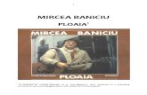 Mircea Baniciu Ploaia