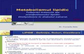 7. Curs - Metabolismul Lipidic