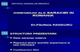 Dimensiuni Ale Saraciei in Romania