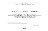 Contributii La Studiu Carcinomului Bazocelular_studiu Histologic Si Imunohistochimic