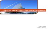 Muzee Cu Arhitectura Spectaculoasa