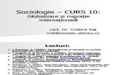 Sociologie Curs 10 2014