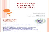 Curs Berliba HCV 2014