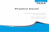Proiect Excel