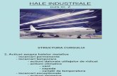 Prezentare Hale Industriale Si Mod de Calcul Poduri Rulante