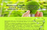 Materiale Lignocelulozice-sursă Regenerabilă de Obţinere a Bioetanolului