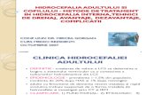 Hidrocefalia adultului si copilului