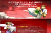 Operatii Cu Lambou