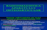 C2 - Radioimagistica Aparatului Osteoarticular