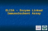 ELISA _ Enzyme