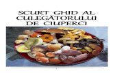 Ghid Ciuperci-SCURT