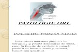 Orl Curs IV-V-Vi Patologie Orl