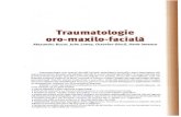 311 395 Traumatologie Oro Maxilo Faciala