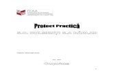 Proiect Practica SC Rulmenti SA Barlad
