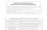 Curs 7 - Malformatiile Bronhopulmonare