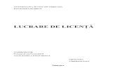 Lucrare de Licenta- Lupu Loredana