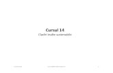 Cladiri Inalte C14 Sustenabilitate