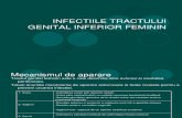 Infectiile Tract Genital Inferior E