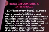 IBD.rom Color IBS Neo Colon