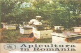 Apicultura in Romania 1986 Nr.7 Iulie