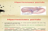 Curs Hipertensiunea Portala