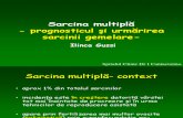 Sarcina Multipla Curs 2007