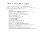 Andrei Marga-Teoria Argumentarii 09