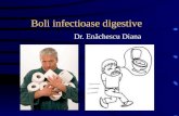 Curs 7 Boli Infectioase Digestive