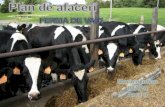 plan ce afaceri ferma de vaci