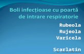 Curs 1-2 Boli infectioase cu poartă de intrare respiratorie - rujeola,rubeola, scarlatina,varicela