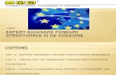 Expert Accesare Fonduri Europene 2012