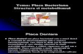 Placa Dentara(Structura si Metabolism)