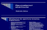 8 Reumatismul abarticular