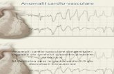 Anomalii Cardio Vasculare