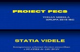 Proiect Pecs Mirela