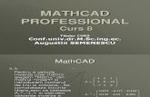Curs 8 MathCAD