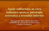APE SULFUROASE Patologie Artroza