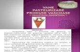 Proiect Vane Pasteurizare Produse Vascoase