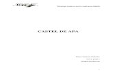 Referat Castel de Apa