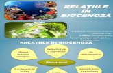 Relatiile in Biocenoza