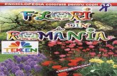 Carti Flori.din.Romania.nr.14 Carte.de.Citit.si.de.colorat Ed.elis TEKKEN