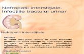 3.Nefropatiile interstitiale
