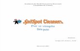 62073775 Plan de Afaceri Spalatorie SpitSpot Cleaners