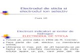 Electrodul Cu Membrana de Sticla Si EIS_C11 FIM