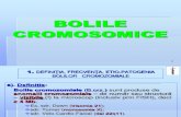 Curs 9 MG Bolile Cromosomice