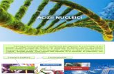 acizi nucleici (1)